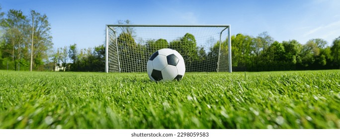 textured soccer game field with ball in front of the soccer goal. - center, midfield - Powered by Shutterstock