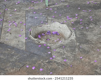 A textured stone surface with scattered purple flower petals surrounding a small, circular depression, evoking a sense of natural beauty amidst urban decay. - Powered by Shutterstock