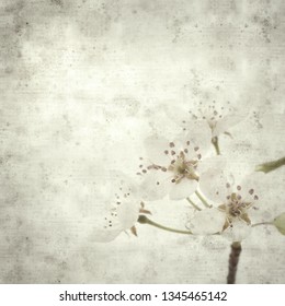 textured stylish old paper background, square, with spring blossoms  - Shutterstock ID 1345465142
