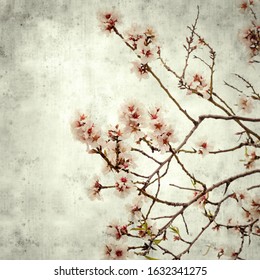 textured stylish old paper background, square, with flowering almond branches - Shutterstock ID 1632341275