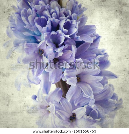 Similar – Image, Stock Photo be blue Nature Plant