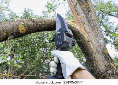 Textured surface, Hand holds light chain saw with battery to trim broken branch of an apple tree, in sunny day