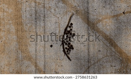 textured surface with objects, small, round brown objects, possibly eggs or seeds, are on a textured fabric a slender, dark line runs through the cluster background has a woven thread pattern