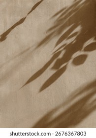 Textured Surface with Shadow Patterns