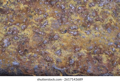 Textured Surface of Weathered Stone Displaying Vibrant Colors and Intricate Patterns in Natural Light - Powered by Shutterstock - Get 15% off with code: PIKWIZARD15