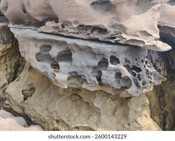 The textured surface of a weathered stone on a tropical island reveals intricate patterns shaped by time and nature. Its rough yet artistic details highlight the beauty of natural erosion and geology