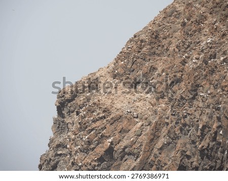 Textured view of a massive brown volcanic cliff face against a pale gray sky