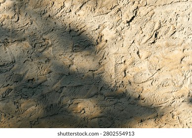 A textured wall with subtle shadows creating depth and intrigue.