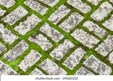 15,397 Grass between stones Images, Stock Photos & Vectors | Shutterstock