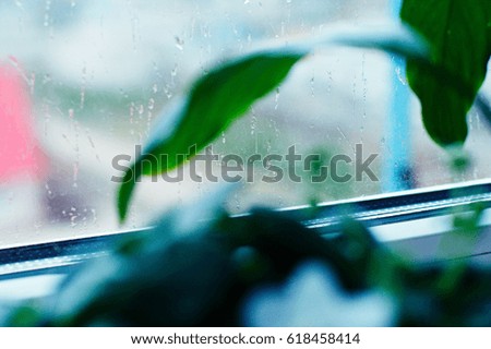 Similar – Image, Stock Photo Flower pots and cacti on one table