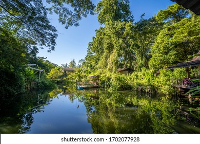 Tha Pom Klong Song Nam National Park, Krabi Province, Thailand, South East Asia