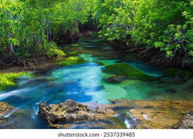 Tha Pom wetland, clear water stream canal, the mangrove forest in Krabi, Thailand - Powered by Shutterstock