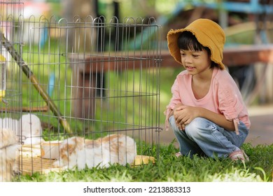 Thai Asian Kid Girl, Age 5 To 7 Years Old, Looks Cute And Smiles Brightly, Dressed In Fashion Style. Visit The Farm Looking At The Chicken And Rabbit In The Cage It's Learning Outside The Classroom.