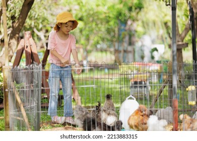 Thai Asian Kid Girl, Age 5 To 7 Years Old, Looks Cute And Smiles Brightly, Dressed In Fashion Style. Visit The Farm Looking At The Chicken And Rabbit In The Cage It's Learning Outside The Classroom.