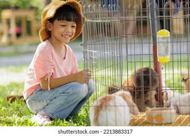 Thai Asian Kid Girl, Age 5 To 7 Years Old, Looks Cute And Smiles Brightly, Dressed In Fashion Style. Visit The Farm Looking At The Chicken And Rabbit In The Cage It's Learning Outside The Classroom.