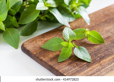 Thai basil on the wooden cutting board on a white background, close-up, horizontal
