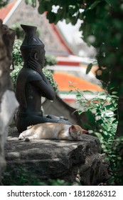 Thai Cat Sleeping Beside Hermit Contortionist Statue At Wat Pho, Bangkok, Thailand.