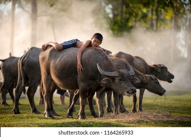 Boy Riding Water Buffalo Images, Stock & Vectors | Shutterstock
