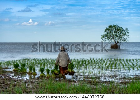 indigenous people Nature