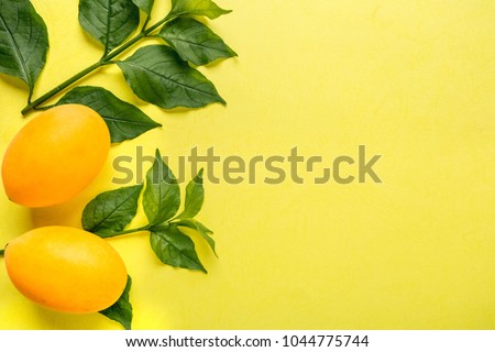 Thai fruit scene. Gandaria fruit (Mayongchid Maprang Marian Plum and Plum Mango) decoration with leaves on a yellow background.