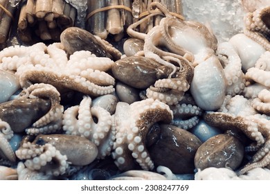 Thai market. Octopuses for sale