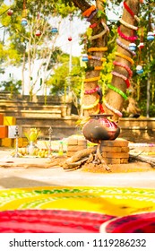 Thai Pongal is a harvest festival dedicated to the Sun God. It is a four-day festival which according to the Tamil calendar is usually celebrated from January 14 