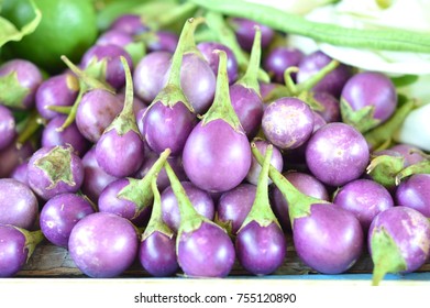 Thai purple eggplant,concept for vegetables with medicinal properties.Such as expectorate,Relieve Fever,Parasitic worms,Sexual stimulation.Picture for Pharmaceutical Organization,clinic,herbal website
