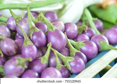 Thai purple eggplant,concept for vegetables with medicinal properties.Such as expectorate,Relieve Fever,Parasitic worms,Sexual stimulation.Picture for Pharmaceutical Organization,clinic,herbal website