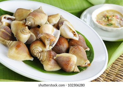  Thai Seafood - Clam Foot Whip With Hot And Spicy Sauce- Shellfish - Shell - Clam - Bivalve - Oyster -  Mussels - Scallops - Thai  Scallops