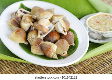  Thai Seafood With Hot And Spicy Sauce - Clam Foot Whip - Shellfish - Shell - Clam - Bivalve - Oyster -  Mussels - Scallops