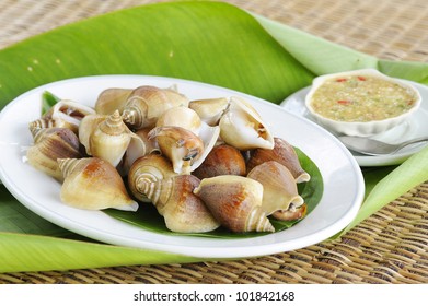  Thai Seafood With Hot And Spicy Sauce - Clam Foot Whip - Shellfish - Shell - Clam - Bivalve - Oyster -  Mussels