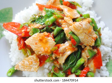 Thai spicy food basil chicken fried rice recipe (Krapao Gai)