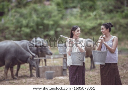 Thai traditional culture with buffalo, Thailand