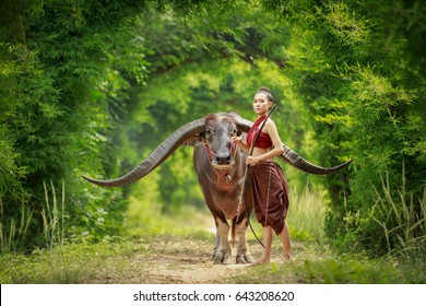 Thai Woman Warrior In Ayutthaya Costume Standing 