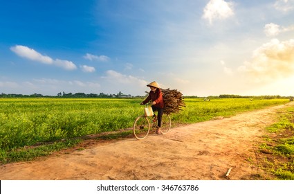 THAIBINH, VIETNAM, Dec 01, 2015: a woman carrying firewood for sale