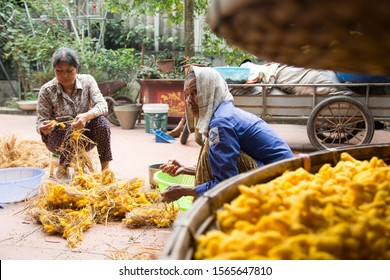 marketing of cocoons