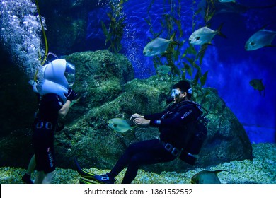 Thailand, Bangkok - August 30, 2018: Tourist enjoying ocean walker underwater Sea Life Bangkok Ocean World Aquarium in the shopping center of Siam Paragon