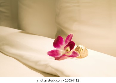 Thailand. Bangkok. Orchid And Chocolate In Hotel Room.