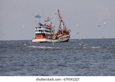 Thailand - July 2017 : Thai Fishing Boat With Fishermen Capturing Fish And Other Animals On The Gulf Of Thailand. A Lot Of Migrant Workers From Cambodia And Myanmar Are Labor In Thai Fishing Industry.