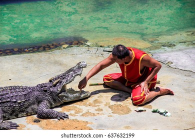 813 Crocodile trainer Images, Stock Photos & Vectors | Shutterstock