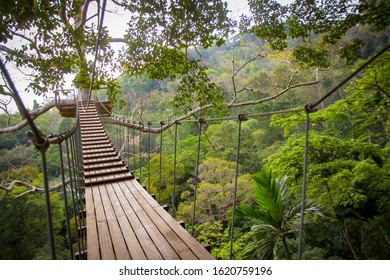 Thailand. Suspension bridge in the trees. Hanging trail from tree to tree. Overgrown with greenery suspension bridge. Rope bridge in Thailand. The Nature Of Thailand. Lush vegetation. Flora. - Powered by Shutterstock