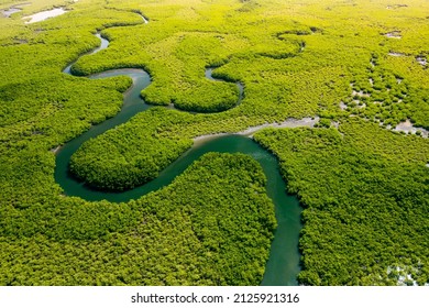 Thailand Tropical River Rainforest. Ecosystem and healthy Environment Concepts and Nature Background. Aerial View.