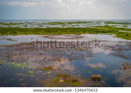 Similar – Nach der Sturmflut Nordsee