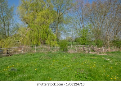 Thames Riverside At Wallingford In Oxfordshire