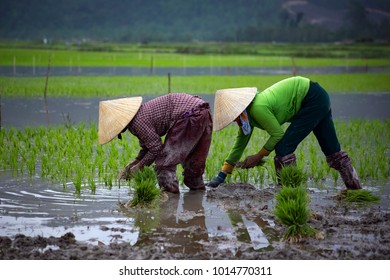 1,992 Quang binh viet nam Images, Stock Photos & Vectors | Shutterstock