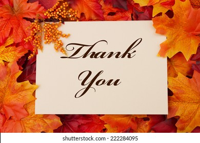 11,763 Thank You Fall Images, Stock Photos & Vectors | Shutterstock