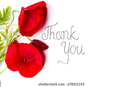 Thank You Card With Red Poppy Flowers On White