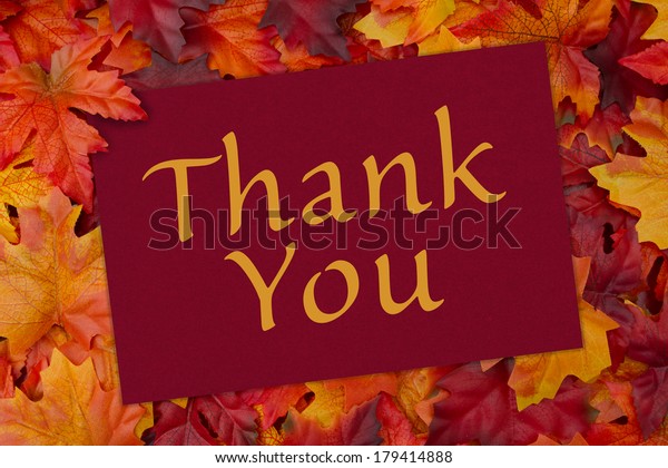 Thank You Card Red Card Words Stock Photo (Edit Now) 179414888