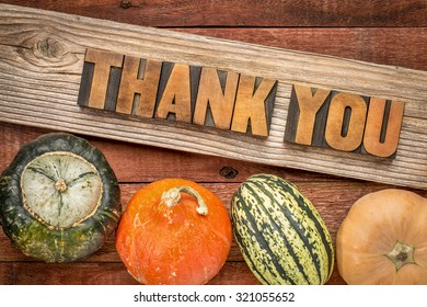 Thank You In Letterpress Wood Type Against Weathered Wood With Winter Squash - Thanksgiving Theme