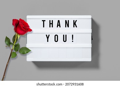 Thank You! Light Box With Letters And Red Rose Flower Decoration